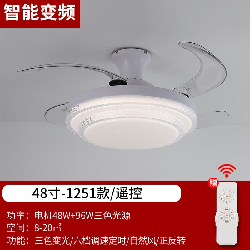ရွေးချယ်စရာ 2 · 1251-48