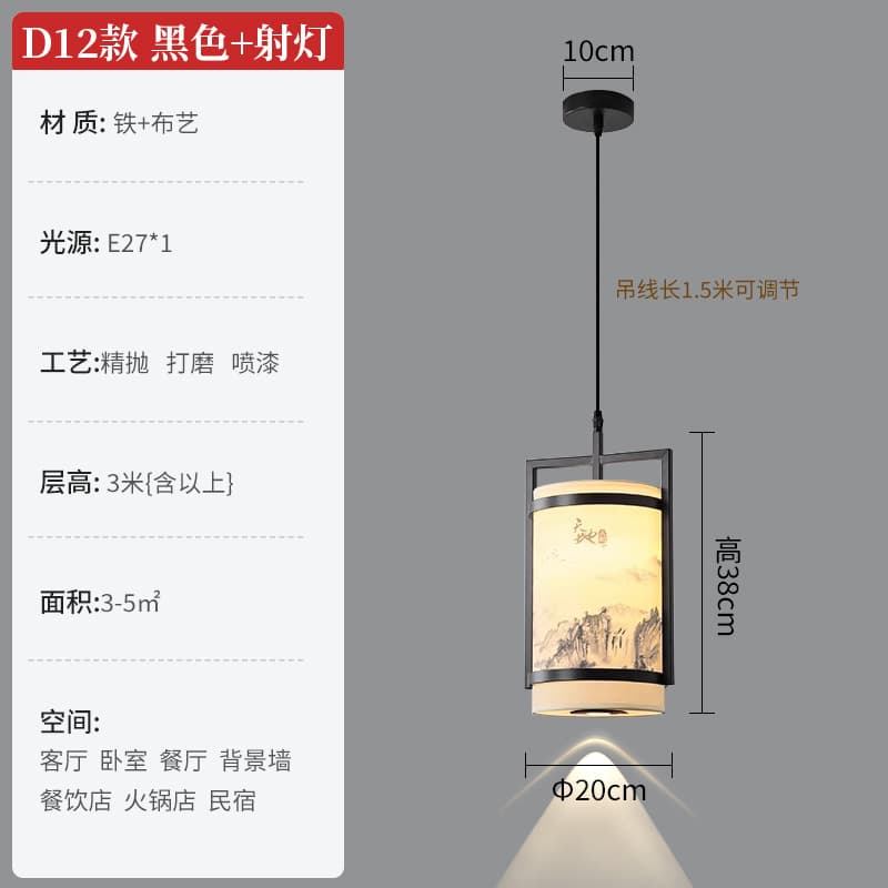 D12-黑色+射灯