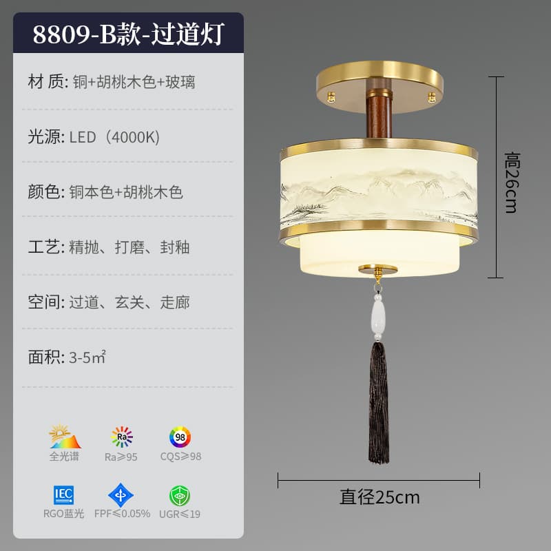 8809B 스타일