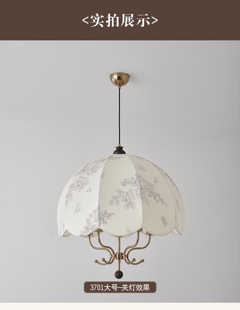 Vintage na Pendant Light LSY-3701