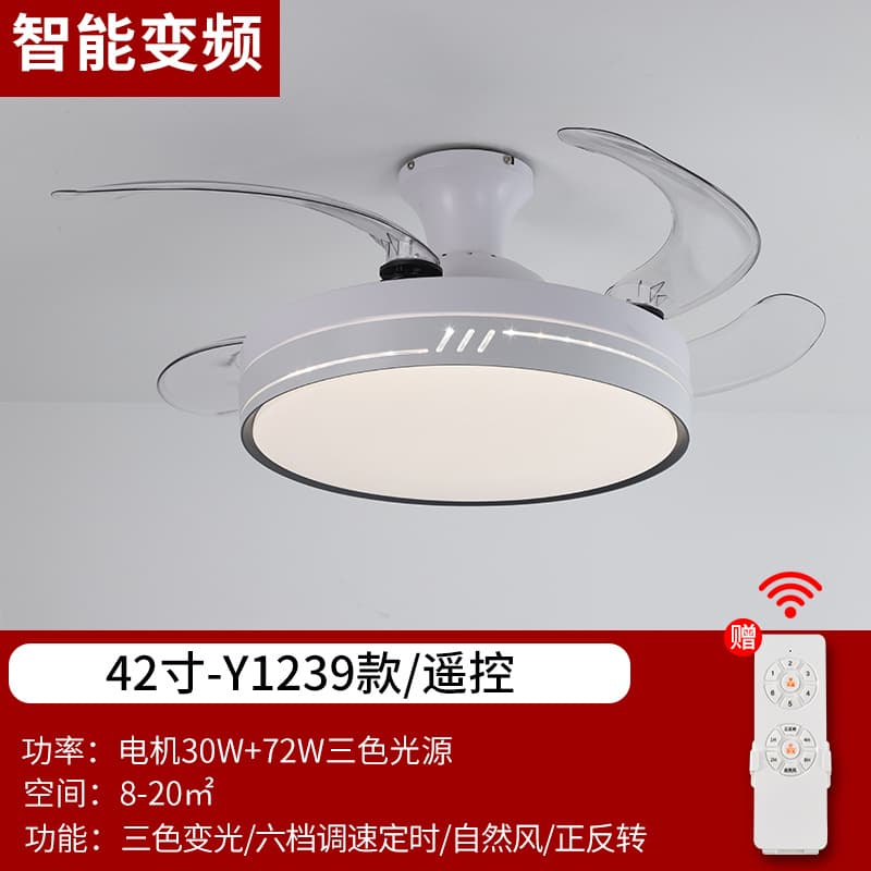 ຕົວເລືອກ 1 · Y1239-42