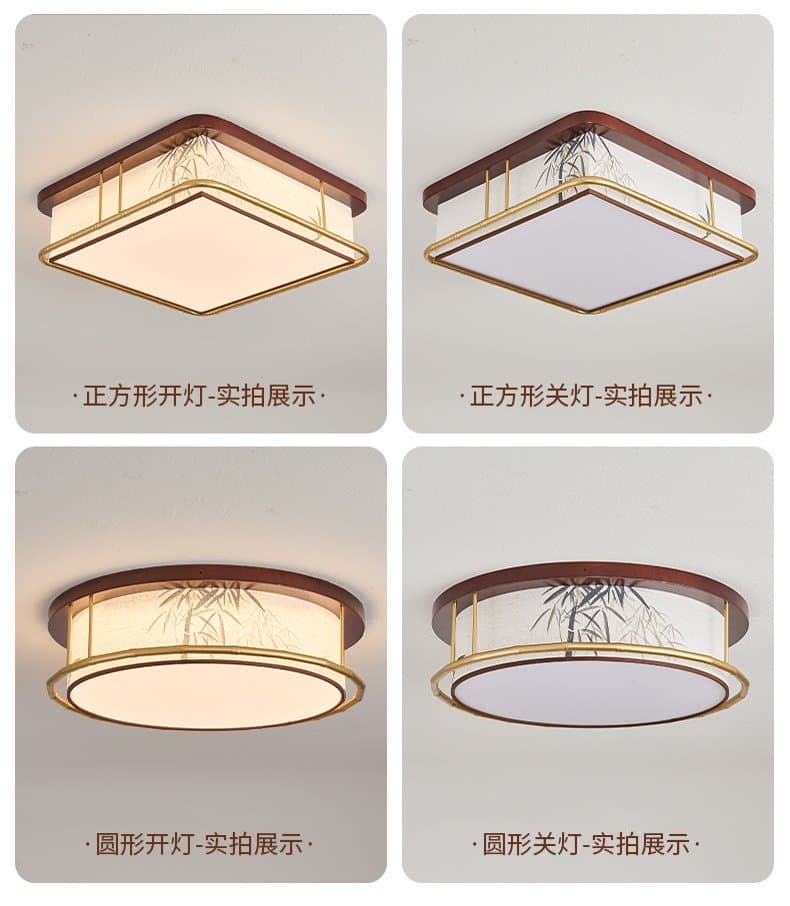 CZ18056 Ceiling Light